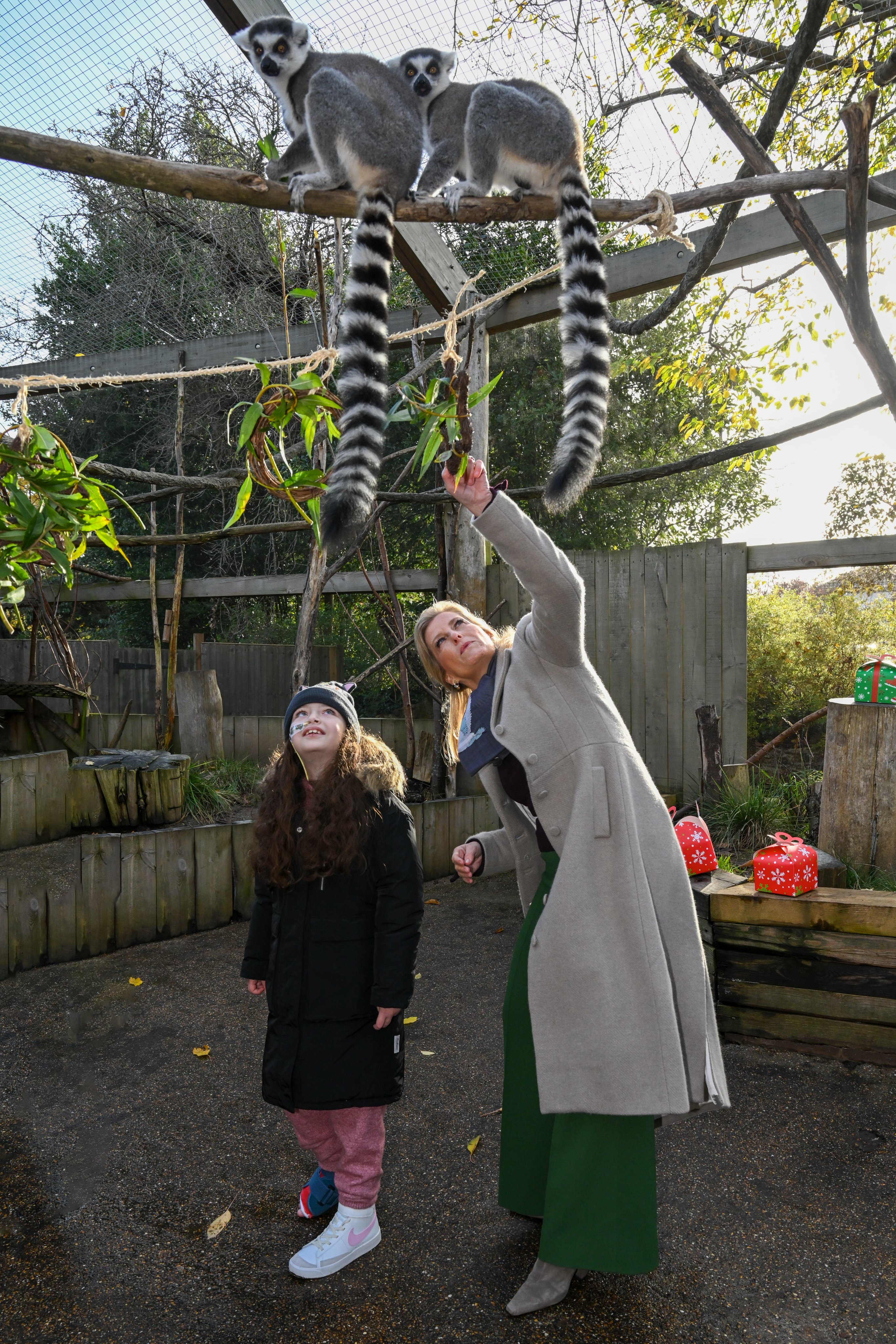 Вчера графиня Уэссекская посетила Лондонский зоопарк 