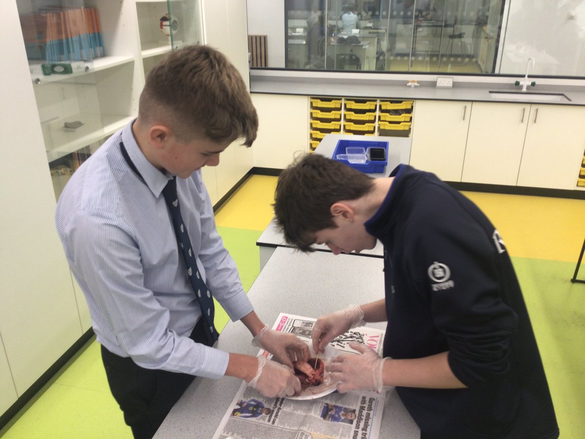 Reed's Science Dept. tweet media