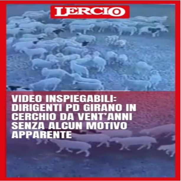 INSPIEGABILE QUANTO VERO instagram.com/reel/ClWgYOwjL…