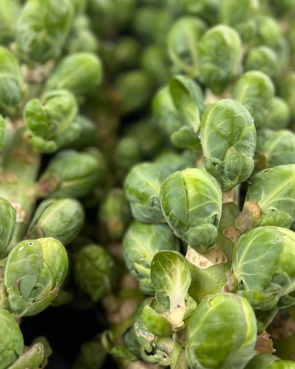 Naturally McHenry County tweet media