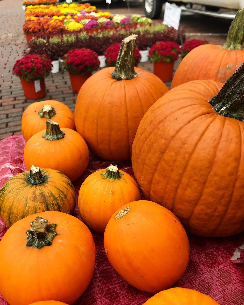 Naturally McHenry County tweet media