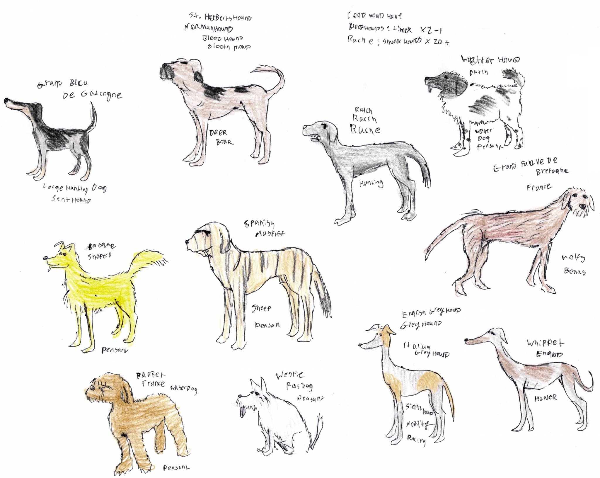 on-twitter-rt-timbukdrew1-dog-breeds-that-were-around-in-the