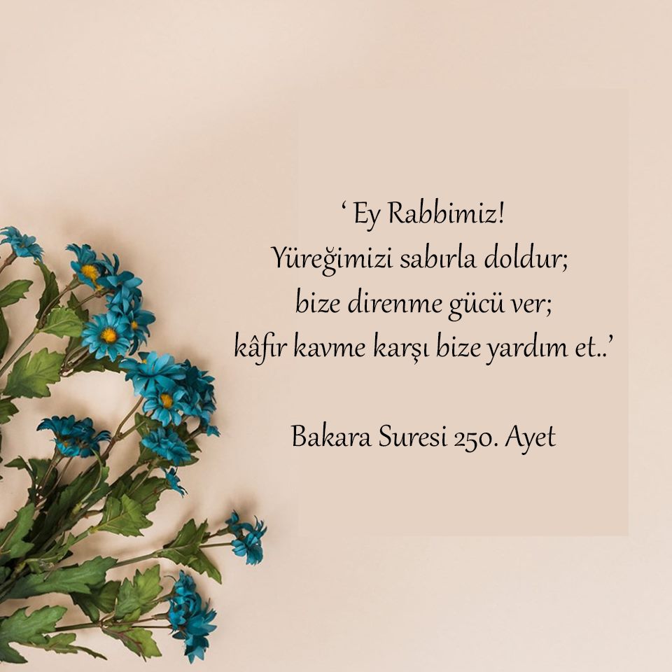 “Ey Rabbimiz!
Yüreğimizi sabırla doldur; bize direnme gücü ver;
Kâfir kavme karşı bize yardım et!” 
-Bakara Suresi 250-

AYET
#AllahKelamıdır