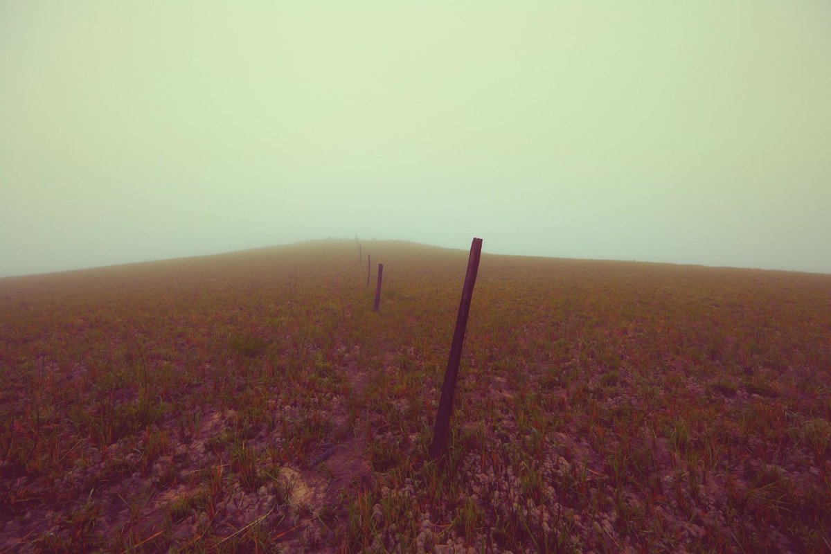 🏆Here is our #ARTCRUSHOFTHEDAY Day 13🏆

TRUST by <a href="/dubhz0/">dubhz0</a> 

Impressed by these stakes vanishing in the mist, giving us the desire to climb the hill and converse with these wooden creatures, with the secret desire of hearing a forgotten truth.

➡ will be shown on 💯 SCREENS soon