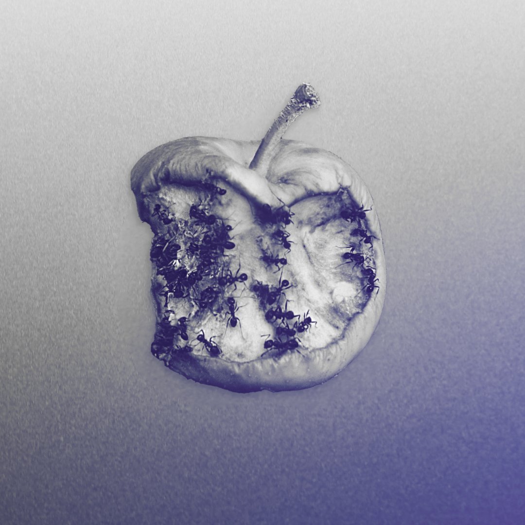 For years, #Apple watched #Google and #Meta make billions by collecting every scrap of people’s data to target them with ads.

Now it appears it was just taking notes. 

Here’s how Apple's tracking works: proton.me/blog/apple-ad-…

Thanks <a href="/mysk_co/">Mysk 🇨🇦🇩🇪</a> for the research.