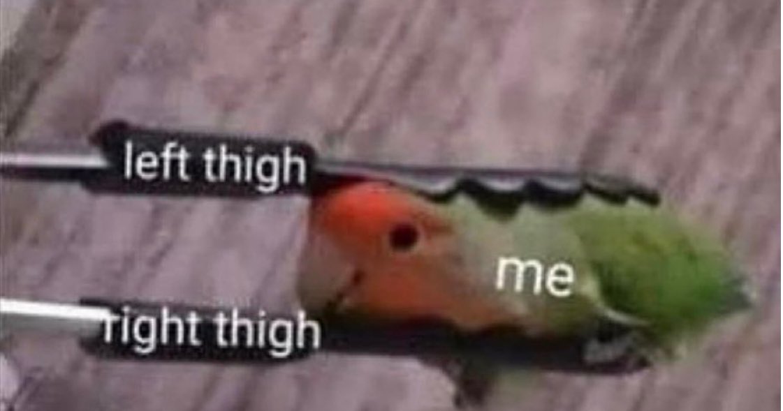 GIVE ME CUDDLES tweet media