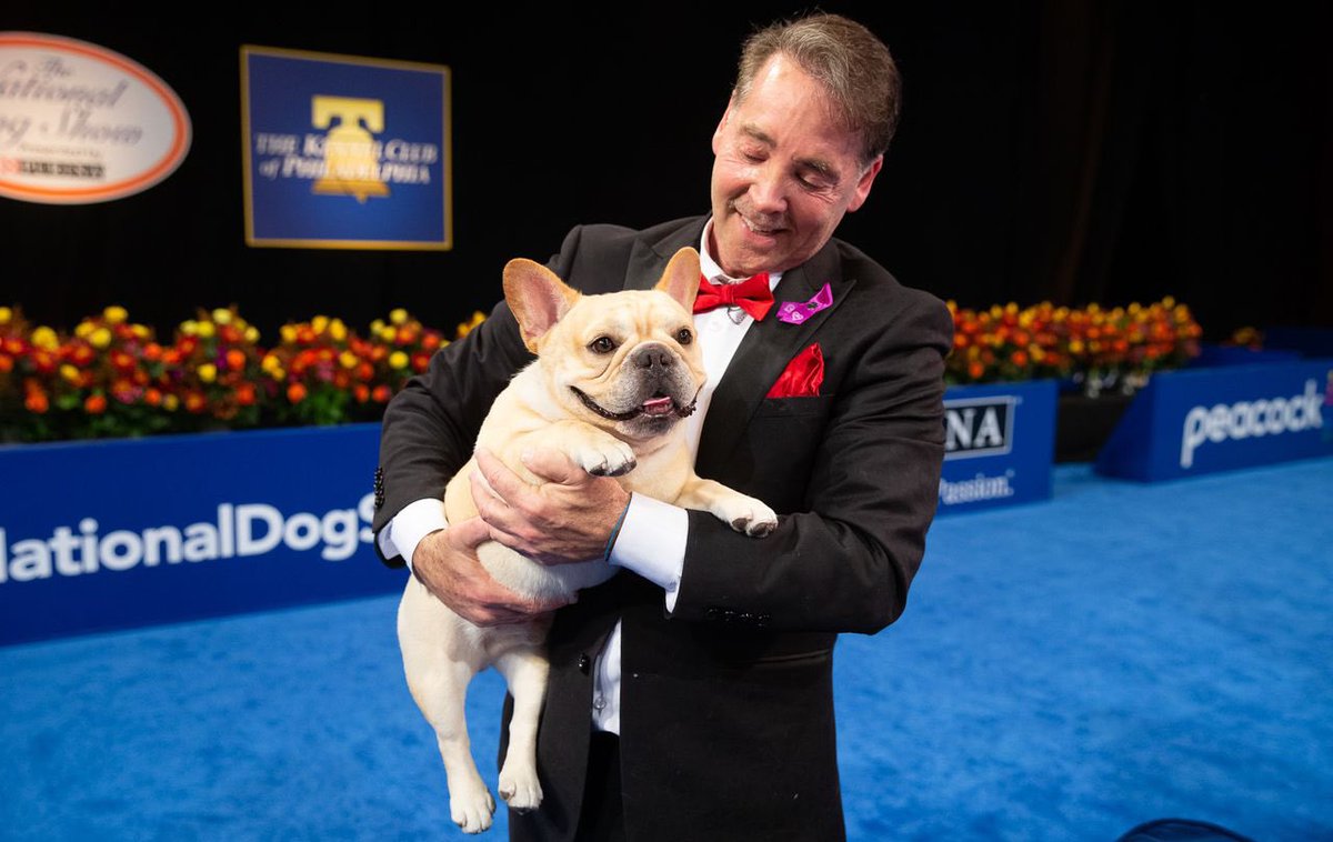 buckysackles's tweet photo. WINSTON THE FRENCHIE WINNING THE 2022 NATIONAL DOG SHOW IS SO DESERVED I LOVE YOU WINSTON https://t.co/jU5dfnThWn