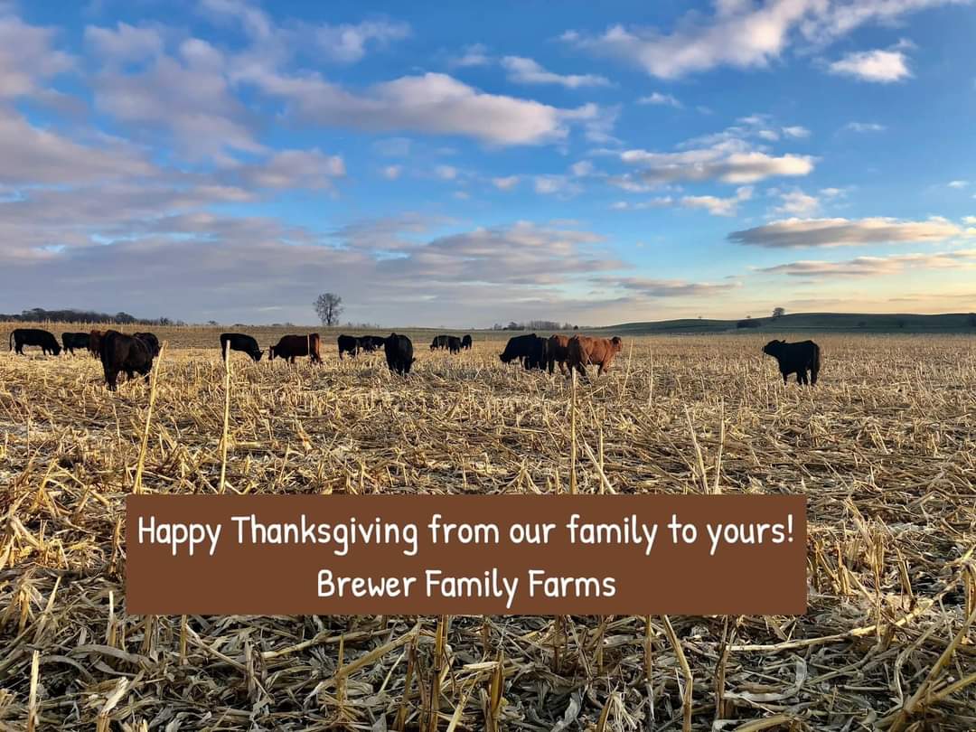 Happy Thanksgiving!