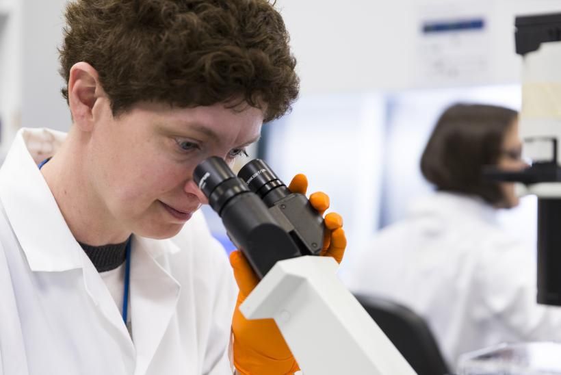 LylaNsouliFoundation tweet media