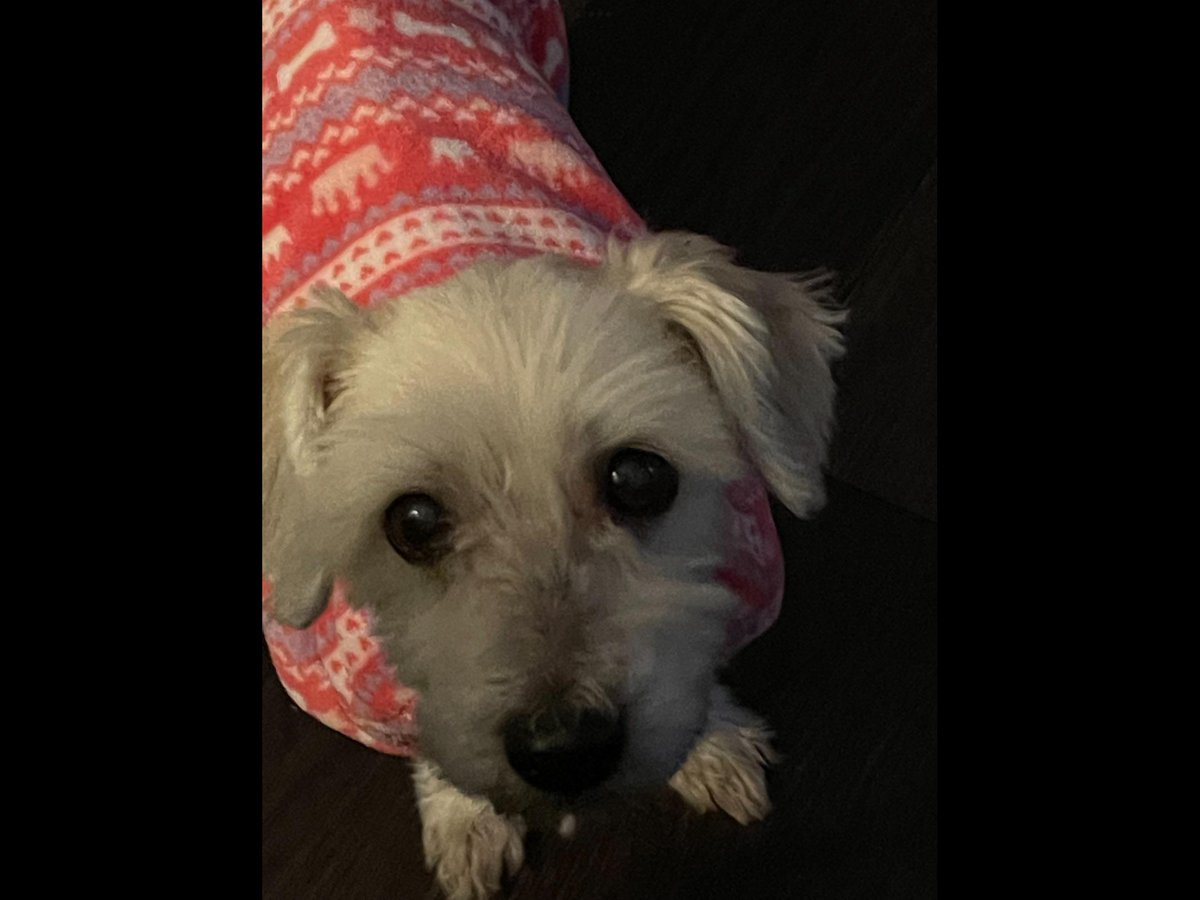 Your Daily Dose Of Cuteness (@dailycutepic) on Twitter photo 