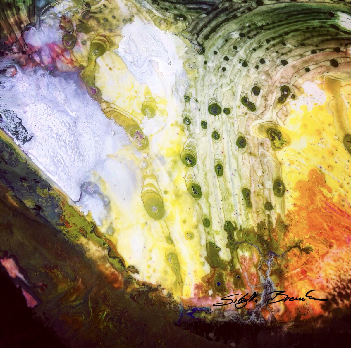 my paintings ... creative space tweet media