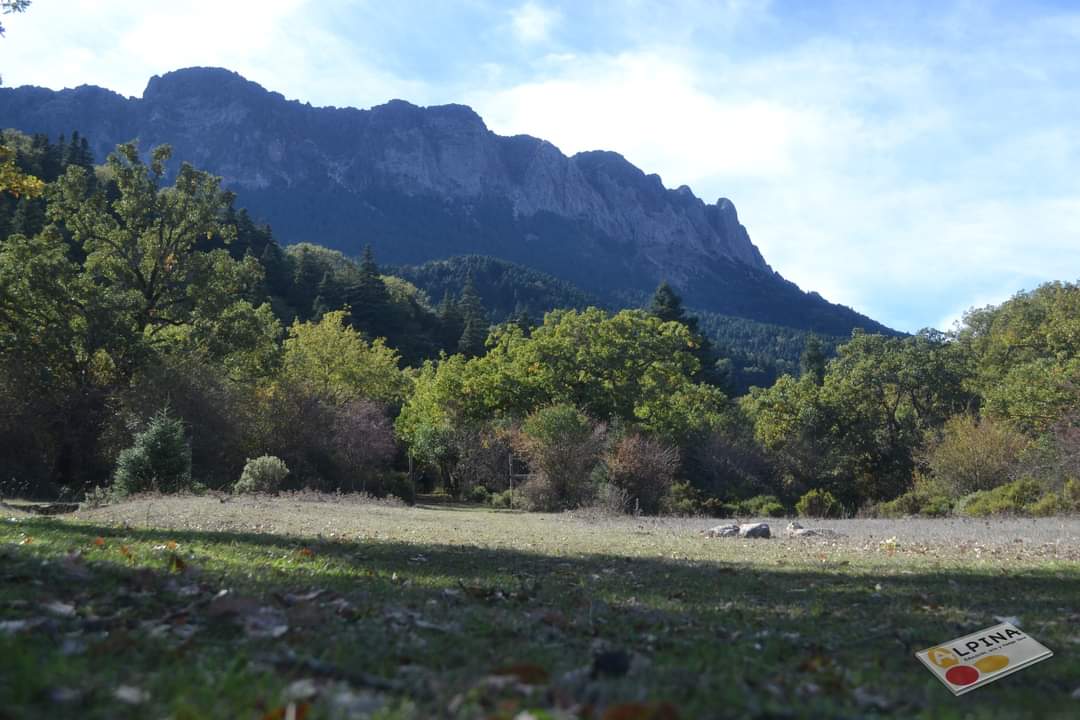 ALPINA_eotl's tweet photo. Ruta int. Llanos de Rabel y Camino de los Pinsapos (20/11/2022).
Un placer enseñaros toda la belleza y riqueza de nuestra sierra.
#senderismo #llanosderabel #pinsapar #sierradegrazalema #zaharadelasierra #ociocadiz @grazalematuris @TurismoJerez @CadizTurismo @TurismoElPuerto https://t.co/n5J8vYcJ7z