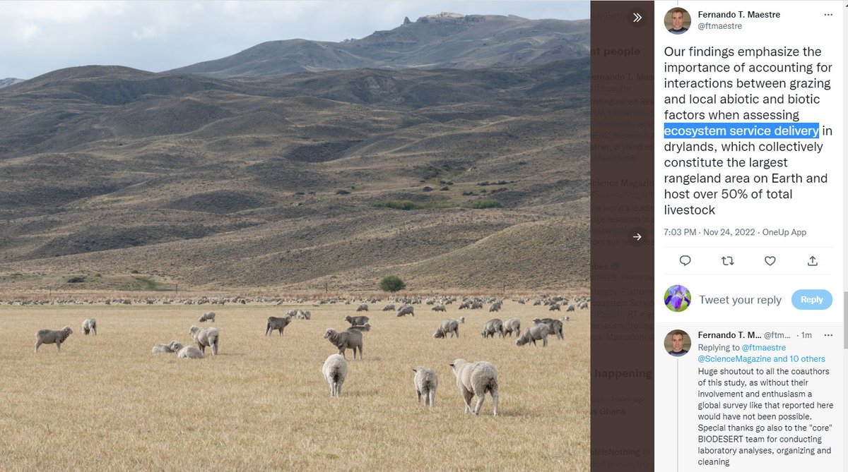 Can we spot the trees in a hollow, about half way up the picture to the right? Imagine this landscape all green and reforested? The plight of land turned barren by overgrazing by sheep, on so many lands!