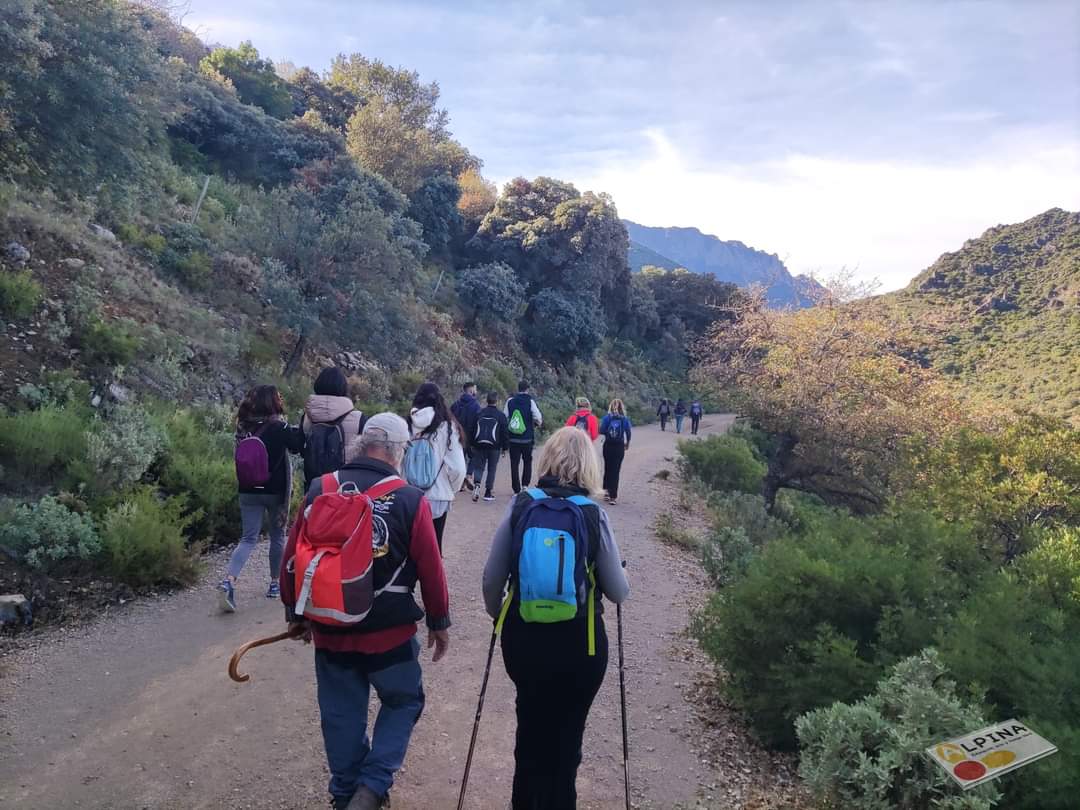 ALPINA_eotl's tweet photo. Ruta int. Llanos de Rabel y Camino de los Pinsapos (20/11/2022).
Un placer enseñaros toda la belleza y riqueza de nuestra sierra.
#senderismo #llanosderabel #pinsapar #sierradegrazalema #zaharadelasierra #ociocadiz @grazalematuris @TurismoJerez @CadizTurismo @TurismoElPuerto https://t.co/n5J8vYcJ7z