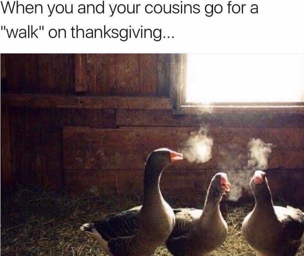 Happy Danksgiving! 🦃