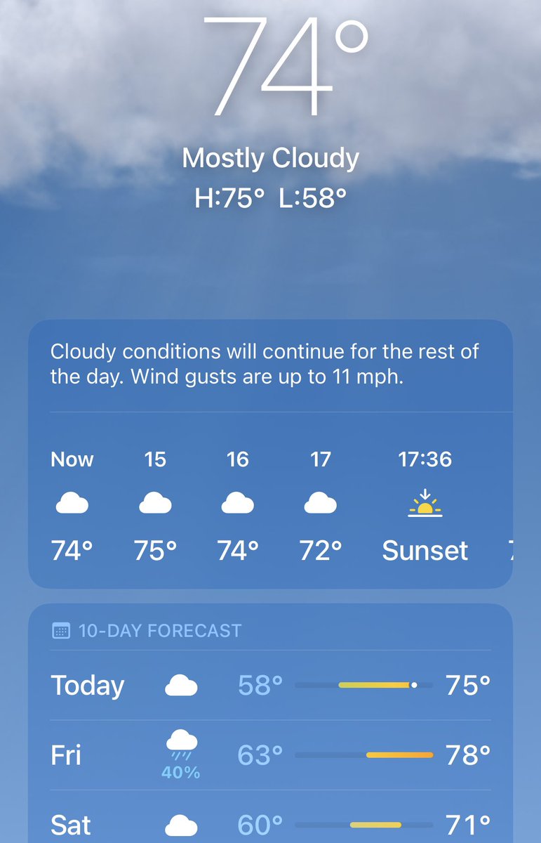 Happy Thanksgiving everyone! 🍁🦃🍽 
What are you most thankful for? I’m thankful for Florida it is amazing!