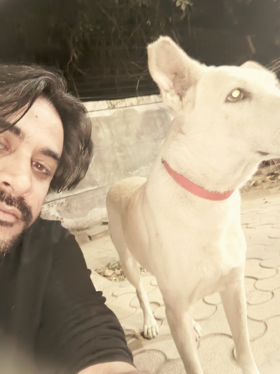joeyp225's tweet photo. Have you guys met #Deshu? He's the resident cutie, literally. If you're coming home post midnight, you have to stop and give him pets. He makes the rules. 🙂😌 https://t.co/BbLaImn90z