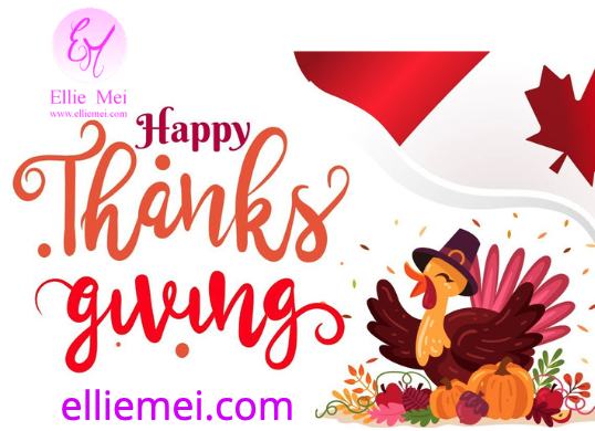 EllieMeiDesign's tweet photo. Happy Thanksgiving  by https://t.co/xzrCeRzDct free #USA shipping.
#elliemeidesign #elliemei #fashion #fashionstyle #designer #designerstore #fashionista #fashionicon #blackfriday #onsale #usabrand #california #californiastyle #fauxfur #leggings #activewear #Dresses #wholesaler https://t.co/jmOXcLPAvT