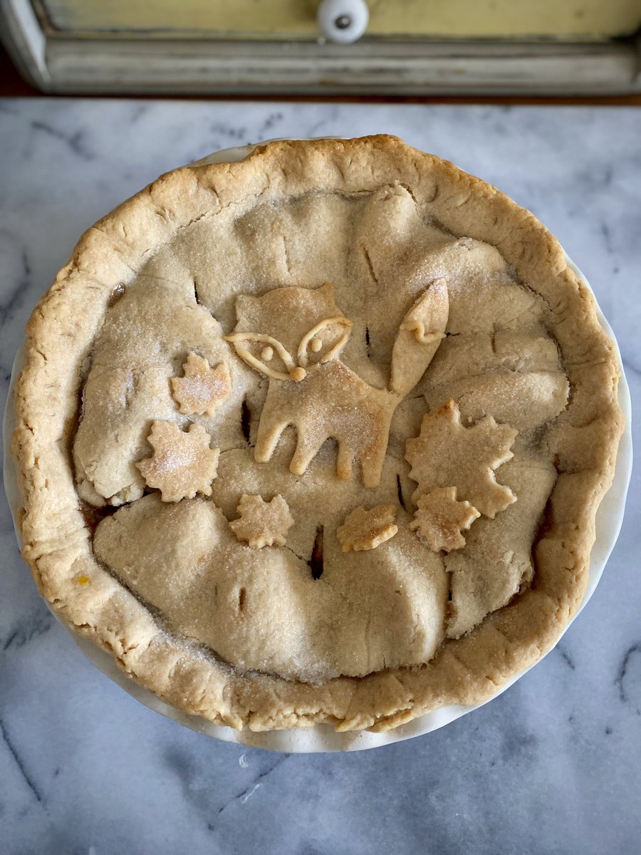 Torlin Torgersen🦊 tweet media