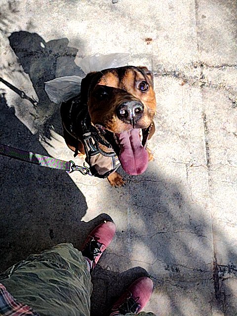 Joolia4202's tweet photo. Joolia22 and #BellaK found # in a Green vault at this location! Join me playing #coinhuntworld, It's awesome! https://t.co/zG44nHxMYG #cryptocurrency #56616 https://t.co/HcB9Ugtk0p