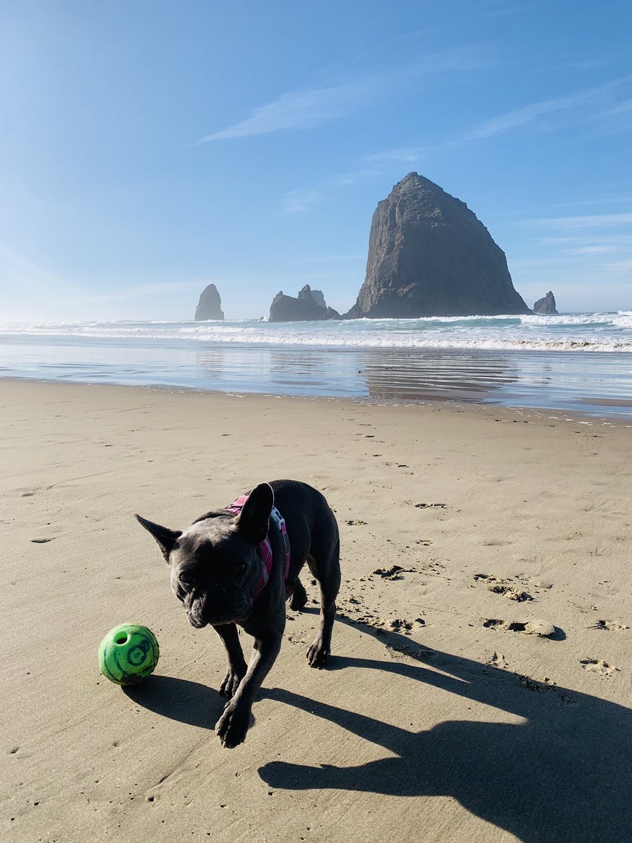 McNeiceRyan's tweet photo. #cannonbeach https://t.co/vEuTChtAbt