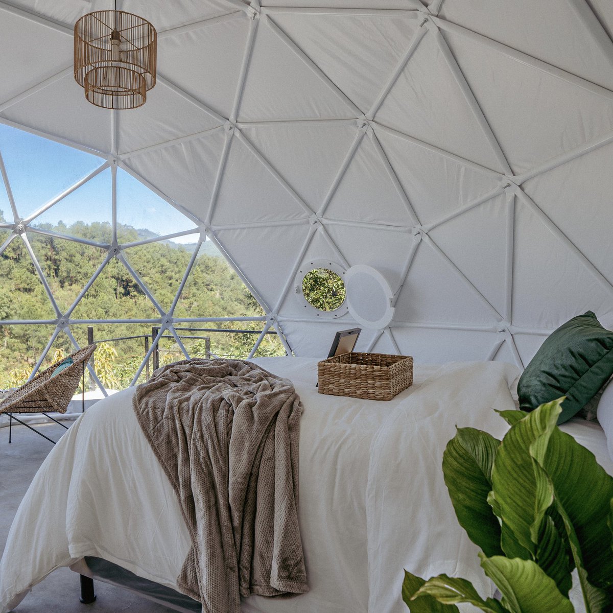 valsseandre's tweet image. Después de un año de muchos desvelos y sacrificios lo logramos 🫶🏻
Abrimos el primer Domo en El Salvador con mi novio 😍🥰
Y es increíble increíble que en dos semanas hemos llenado las reservadas de Noviembre y Dic 😭💕