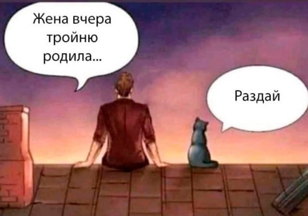 У котов всё просто