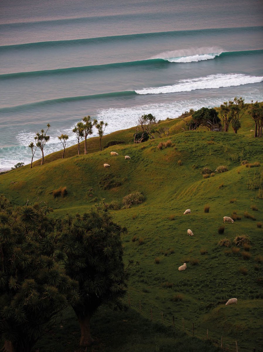 Straight out of a tryptophan-induced dream. Photo by Logan Murray.