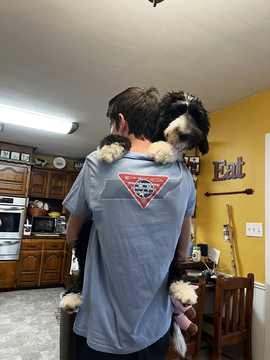 JayceeFerguson6's tweet photo. I'm tuning in to the National Dog Show and having a fun time playing the #DogShowSweepstakes with @Purina! https://t.co/SkR0cKNlVc