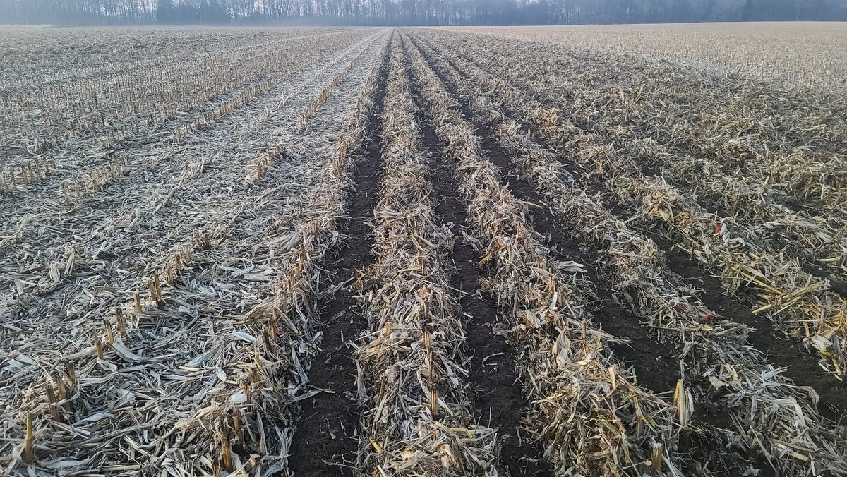 gpsontario's tweet photo. Congratulations to @silverclayon on his new @DawnEquipment Gen V Pluribus. @MontagMfg Gen 1 and Elk Creek welding toolbar.    What an amazing setup!  Lots of #corn22 residue but this #ontag system is doing an amazing job! https://t.co/55C2JtkzJJ