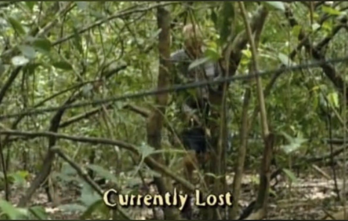 SurvivorQuotesX's tweet photo. My response when everyone at thanksgiving is asking me what I’m doing with my life. https://t.co/fJhdUbEzAV