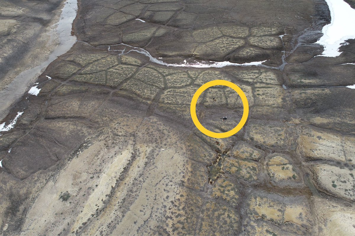 pcincio's tweet photo. The Haughton Formation, an ancient lakebed residing in the Haughton impact structure, captured via drone by our very own paparazzi @JoshuaLaughton. Find @drcrater for scale in image 2! I love going through data 🤩 https://t.co/pP8HbHFBYB