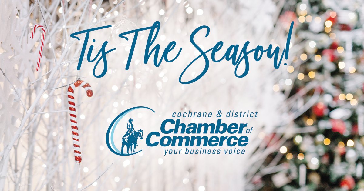 Tis The Season! Let's Celebrate Winter Events ✨ - mailchi.mp/49f6d486fe9a/t…