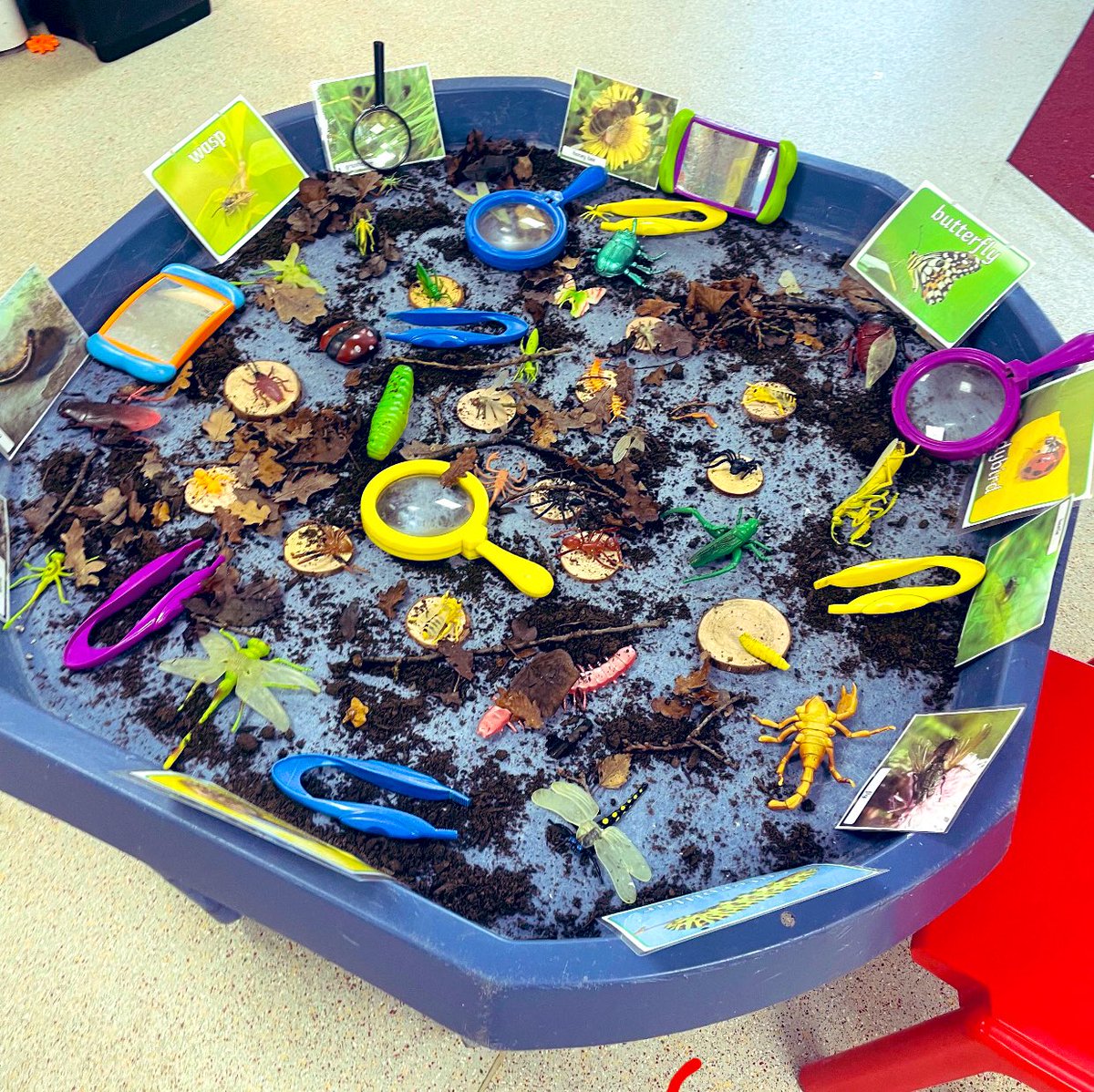 Little Nipperz Chelmsford tweet media