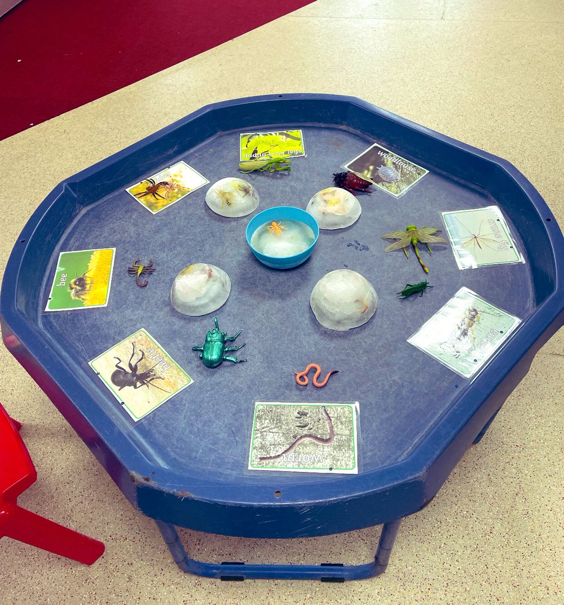 Little Nipperz Chelmsford tweet media