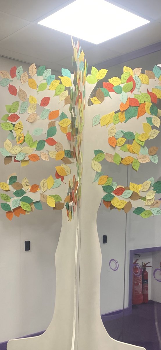 oahaslandhall's tweet photo. This week our assemblies have explored what it means to be kind, today we have put up our random act of kindness tree, to quote the assembly ‘imagine if everyone was running their own race but cheering everyone else on at the same time’ #BeKind#It’sWhoIAm https://t.co/pSfqEyuGkc