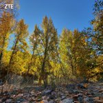 Photo by ZTE USA (@zteusa)