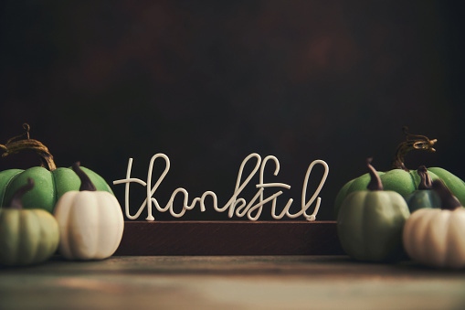 GreekXperience's tweet photo. Happy Thanksgiving 🦃 What’s something or someone that you are extra grateful for? Let us know by commenting below! 🧡 #Thanksgiving #Thankful
.
.
. 
#GreekXperience #Fraternity #Recruitment #Brotherhood #GreekLife #CollegeLife #Frat #College #GoGreek #GreekRush https://t.co/ldfSuGSmvi