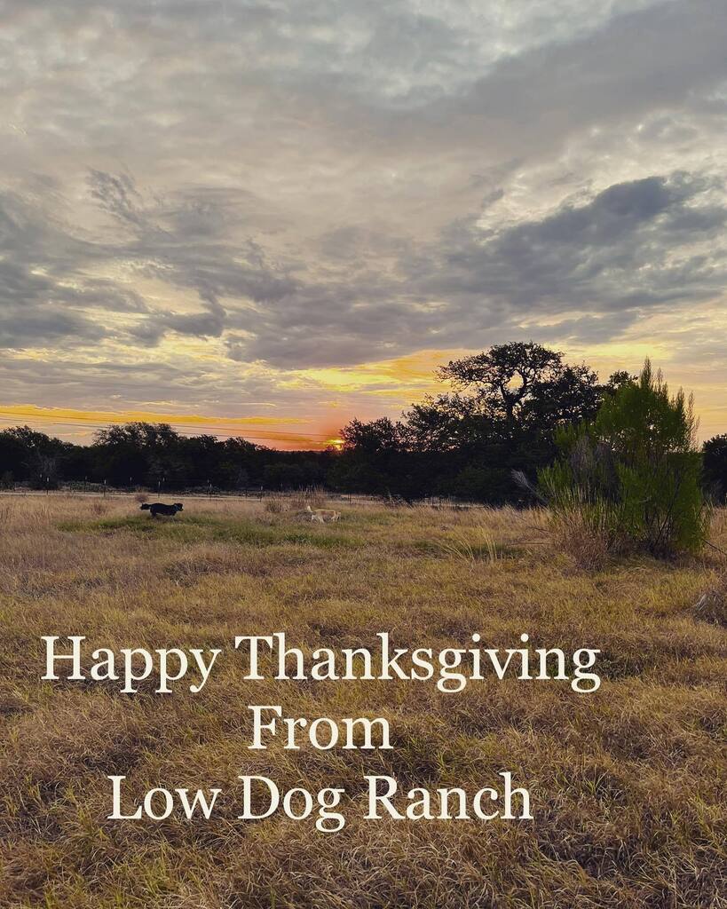 Happy Thanksgiving from #lowdogranch #texashillcountry instagr.am/p/ClWyUM5pHFN/