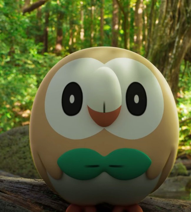 Happy Thanksgiving from this little owl