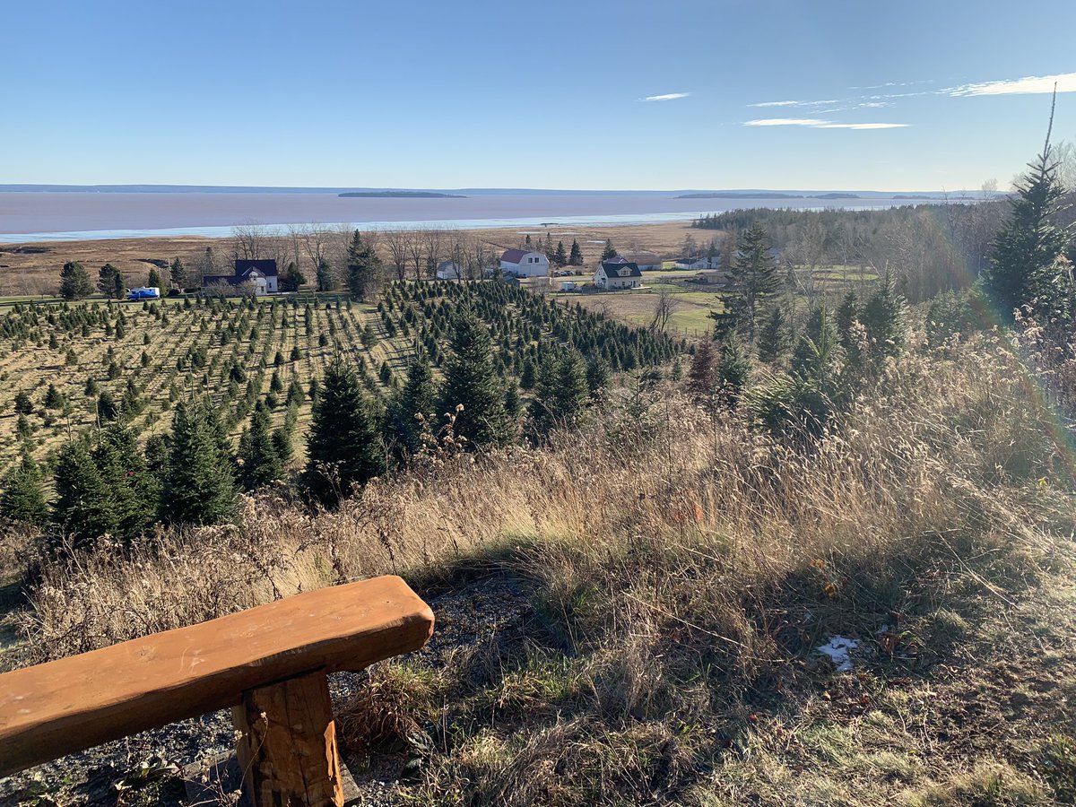 deepgreendesign's tweet photo. Cut my Winter #Solstice tree today.
14’er at Shepody Saw Mill.
Thanks, Guy🏆
#Chignecto is red, the eel & lobster are playing?
A beautiful spot, last pic’s a pano.
#Wabanaki #BayOfFundy https://t.co/n0xGD2xmEM