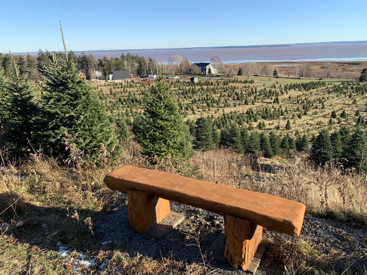 deepgreendesign's tweet photo. Cut my Winter #Solstice tree today.
14’er at Shepody Saw Mill.
Thanks, Guy🏆
#Chignecto is red, the eel & lobster are playing?
A beautiful spot, last pic’s a pano.
#Wabanaki #BayOfFundy https://t.co/n0xGD2xmEM
