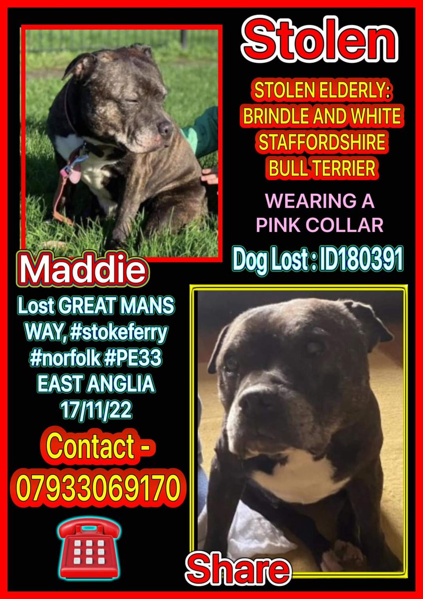juliagarland73's tweet photo. #FindMaddy https://t.co/NCZC3eyrVC