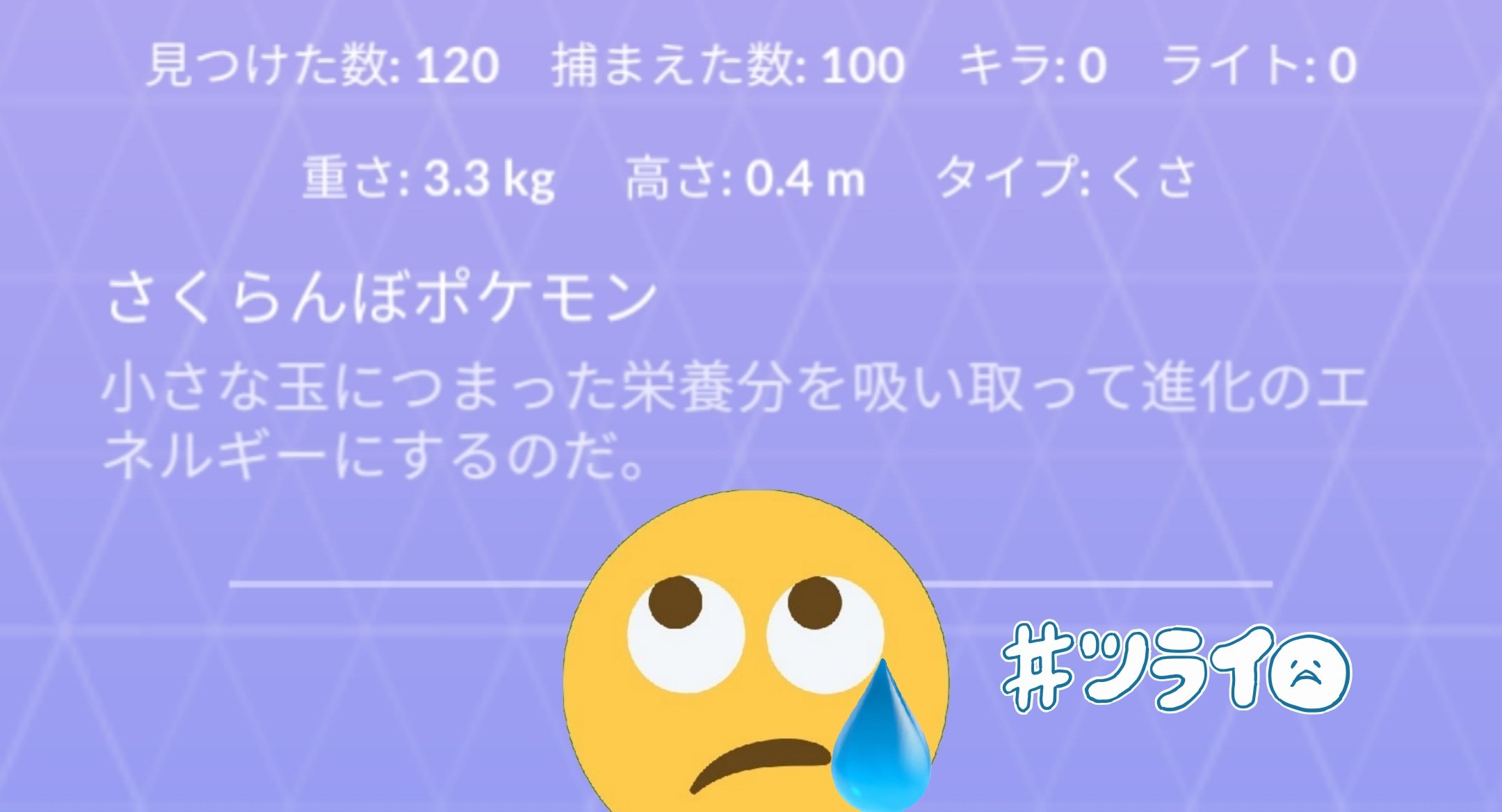チェリンボ Twitter Search Twitter