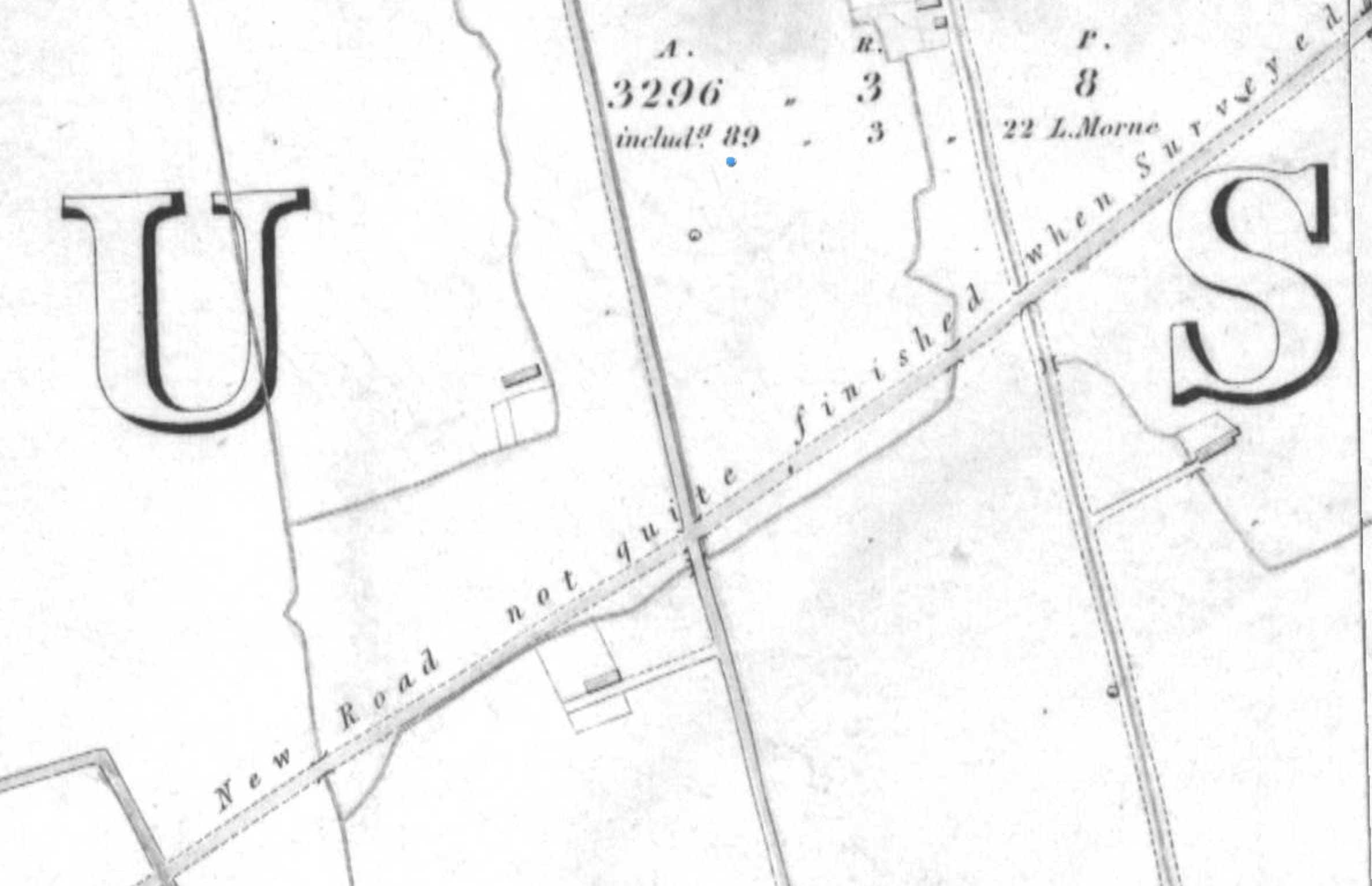 Revealed: The Surprising Number Of Ribs In A Horse - cvi60bv