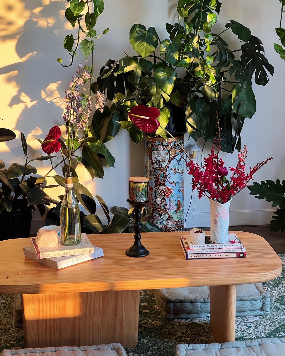 Valeria Mars on Twitter "New moon new flower arrangements"