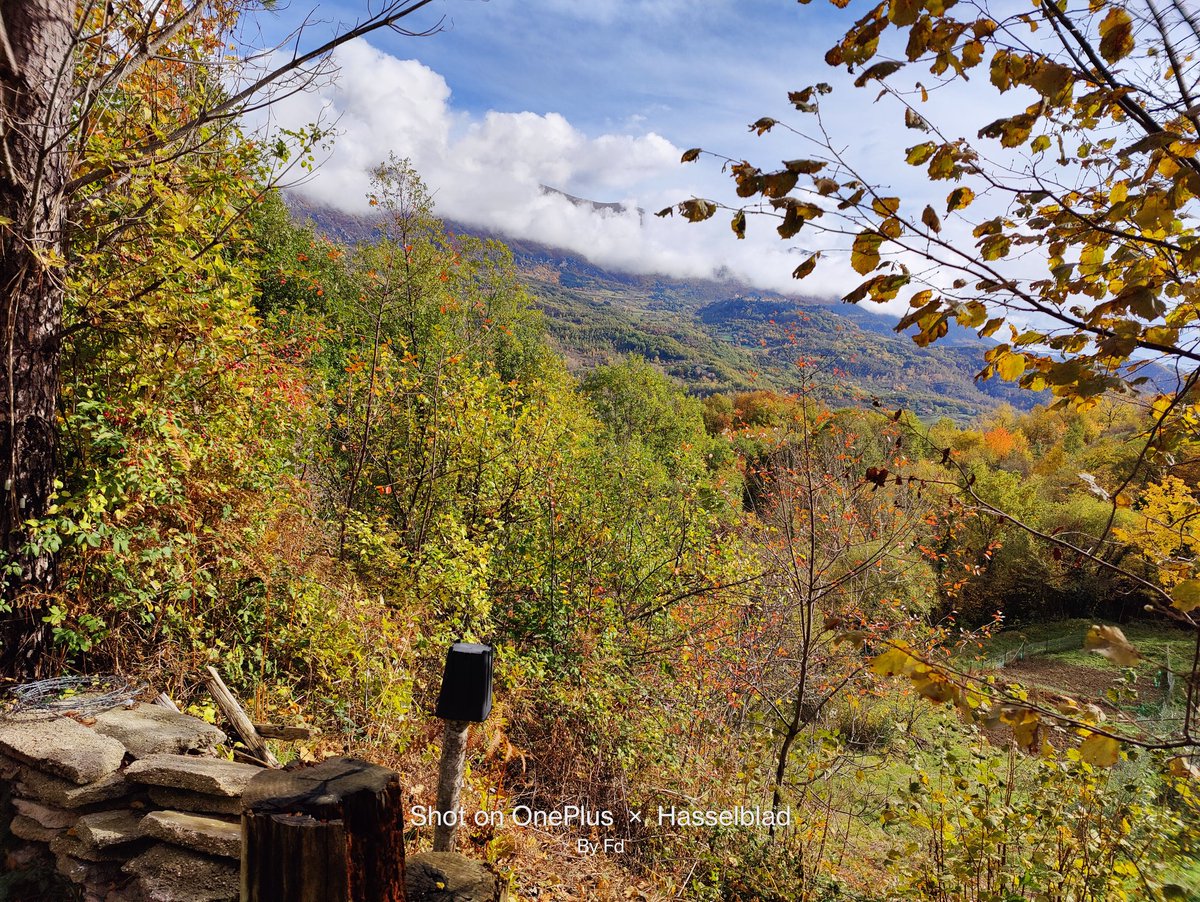 fabrizio_degni's tweet photo. Autumn in Italy
Captured with #OnePlus 9Pro
#oneplus9pro #perfectcapture #nature #italy #panorama #autumn @oneplus https://t.co/xHaXZB0HfP