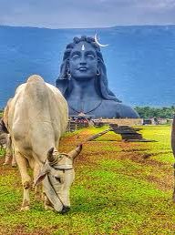 Thiruva78409521's tweet photo. @SadhguruJV Happy #CoimbatoreDay https://t.co/XKdKuc1qTO