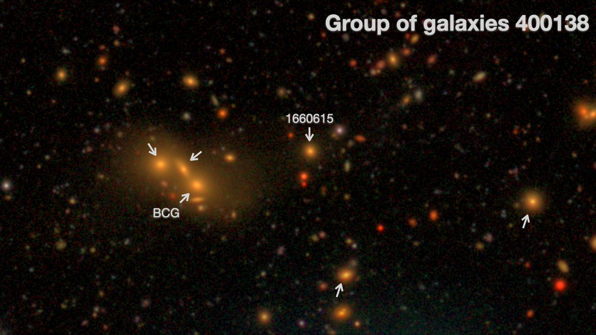 cmlombilla's tweet photo. And if you are looking for pretty images 😉, here you have our group of galaxies (indicated with arrows) and the gorgeous intra-group light we have measured 💜 https://t.co/DLjaKJlkXC