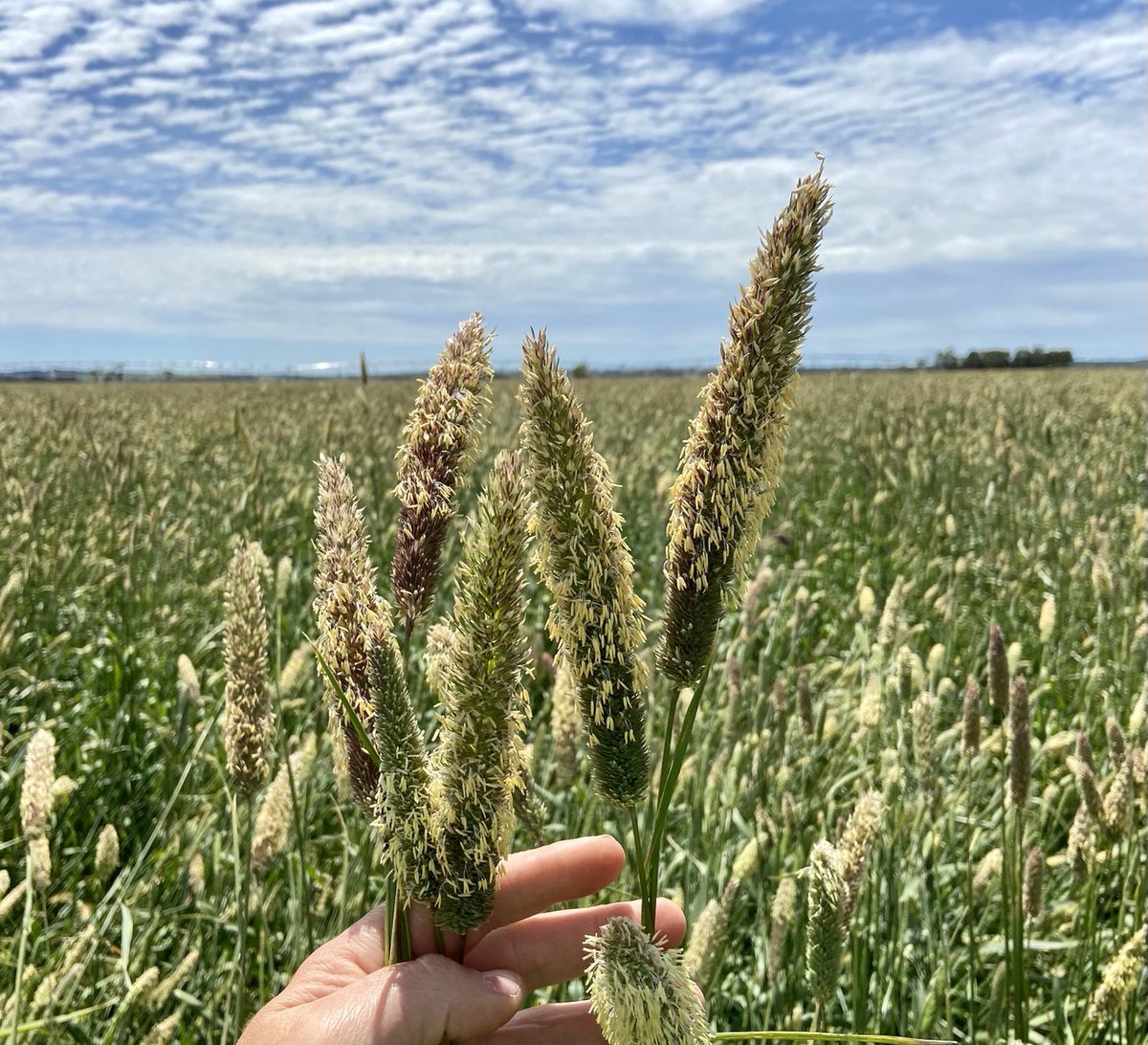 James Heffernan tweet media